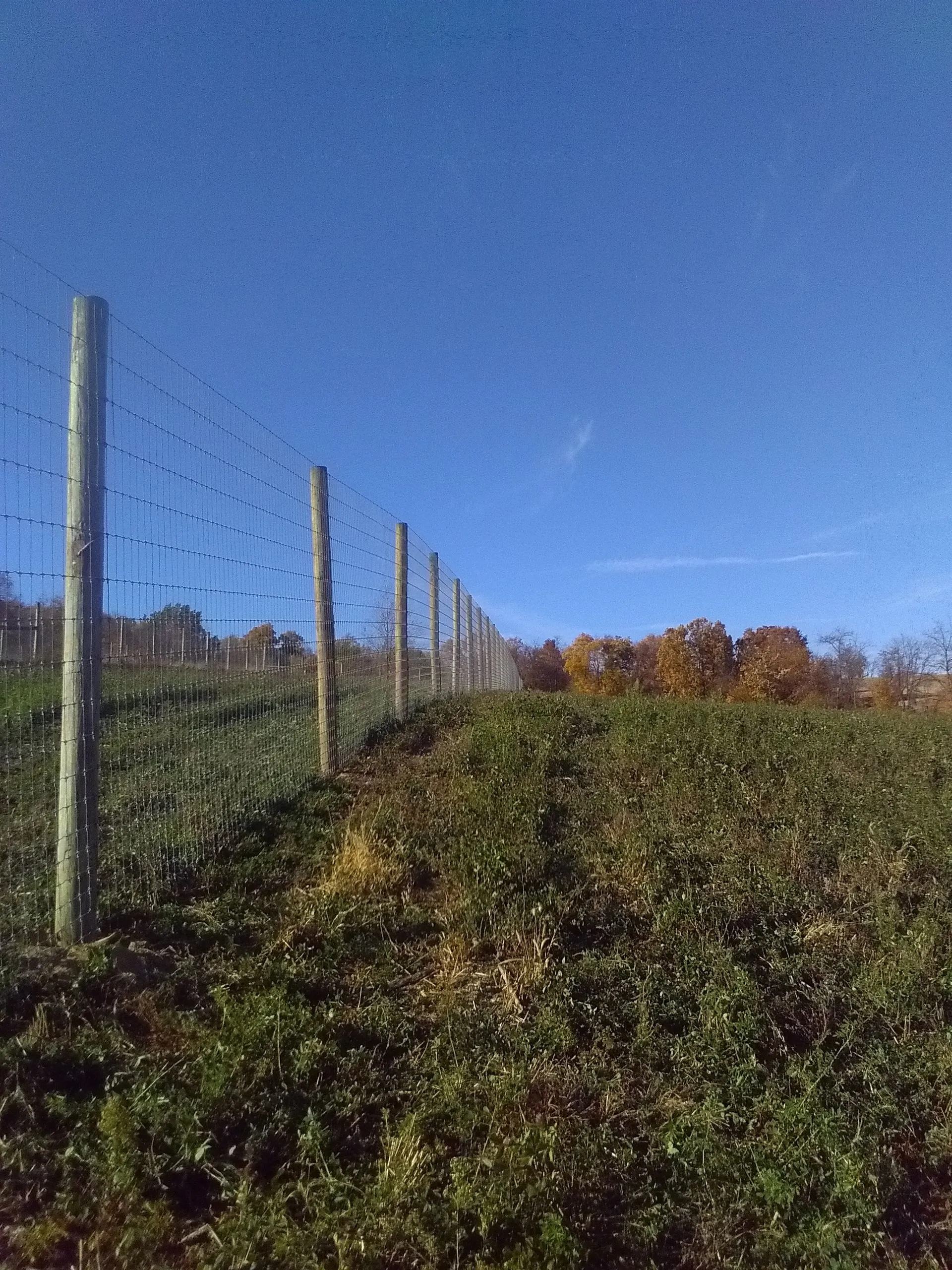 Farm fence surrounding a pasture